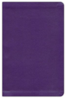 Go-Anywhere KJV Bible for Young Women - Plum Patch