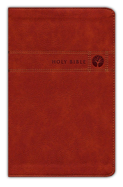 NIV Men's Devotional Bible (Comfort Print)-Brown Leathersoft