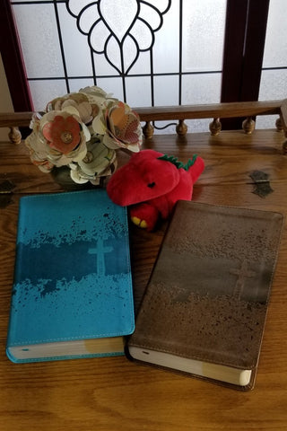 NIV Kids' Visual Study Bible (Full Color)- 2 Color Choice Bronze or Teal Leathersoft