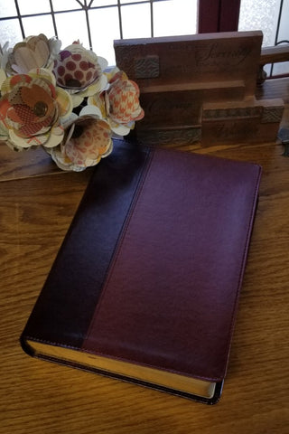 NLT Every Man's Bible, Large Print, TuTone Brown