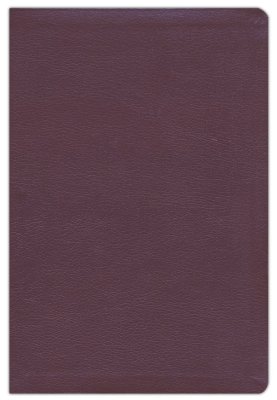 NIV Thinline Bible Burgundy Bonded Leather