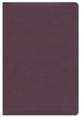 NIV Thinline Reference Bible/Large Print (Comfort Print)-Burgundy Bonded Leather Indexed LIMITED QUANTITIES AVAILABLE