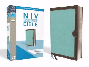 NIV Thinline Bible Turquoise/Chocolate