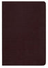 KJV Life in the Spirit Study Bible Bonded Leather Burgundy