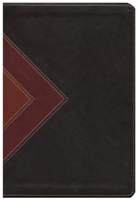 NLT Illustrated Study Bible - Brown