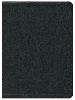 The Message/Large Print Bible-Premium Black Genuine Leather