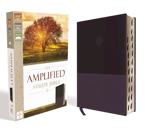 Amplified Study Bible Soft Leather-Look Purple Indexed