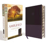 Amplified Study Bible Soft Leather-Look Purple Indexed