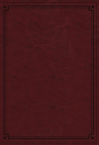 NKJV Study Bible Red LeatherSoft