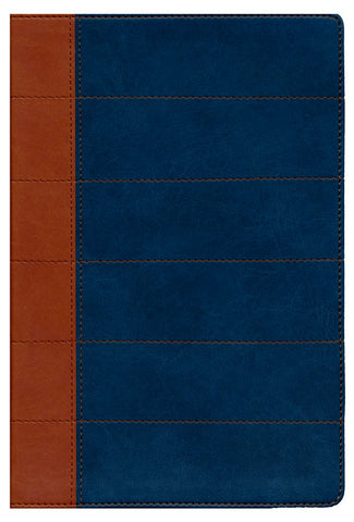 Spanish-RVR 1960 Thompson Study Bible-Blue/Tan DuoTone