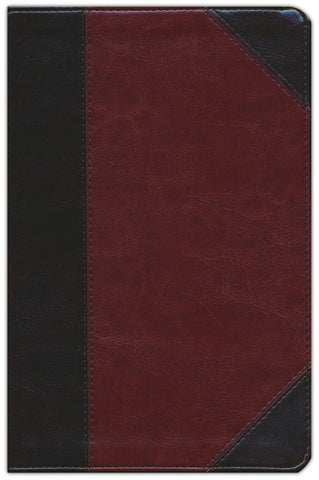 ESV Student Study Bible-Brown/Cordovan Portfolio Design TruTone