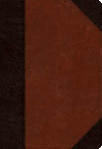 ESV Student Study Bible-Brown/Cordovan Portfolio Design TruTone