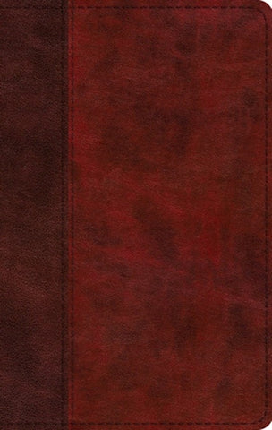 ESV Large Print Thinline Bible-Burgundy Red Timeless Design