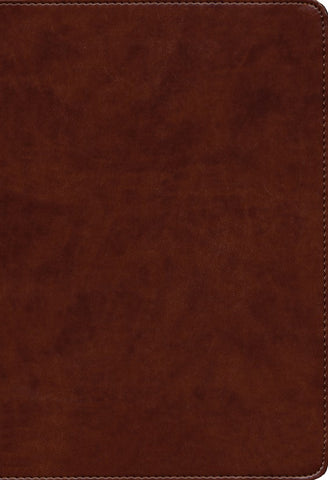 KJV Large Print Ultrathin Reference Bible British Tan Leathertouch LIMITED QUANTITIES AVAILABLE