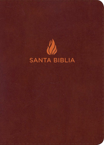 Spanish NVI Santa Biblia Large Print Letra Gigante Marrón Brown Piel Fabricada Con Indice Bonded Leather