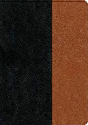 NIV Every Man's Bible Large Print, Tutone Black/Brown