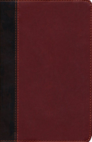 NLT Teen Life Application Study Bible-Brown LeatherLike