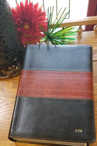 ESV Large Print Personal Size Bible-Forest/Tan Trail Design TruTone