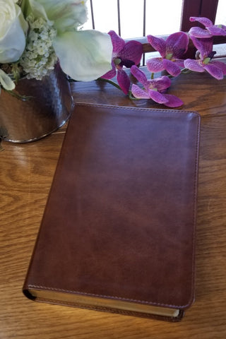 ESV Story of Redemption Study Bible -Brown - Limited Quantities Available