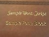 CSB Large Print Personal Size Reference Bible-Pink LeatherTouch Indexed