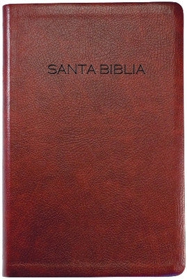 NVI Spanish Slimline Gift and Award Bible - Brown