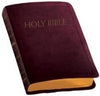 NABRE Catholic Companion Bible, Burgundy