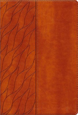 NKJV Encountering God Study Bible, Comfort Print--soft leather-look, brown