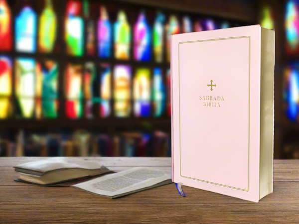 Biblia Catolica para regalos y ceremonias, color rosa, Cuero Reciclado (Catholic Bible for Gifts and Ceremonies--recycled leather, pink)