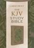 KJV Study Bible/Large Print-Olive Branches DiCarta