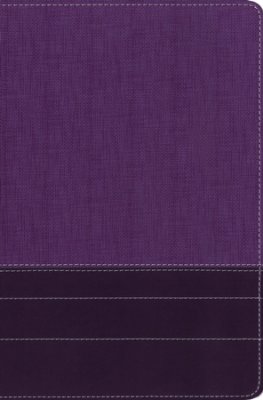 NIV Thinline Bible/Large Print (Comfort Print)-Purple/Plum Leathersoft