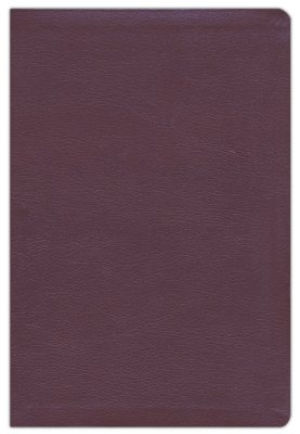 NIV Thinline Reference Bible Large Print Burgundy Bonded Leather