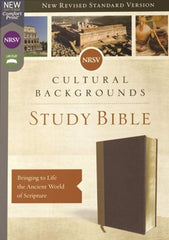 NRSV Cultural Backgrounds Study Bible (Comfort Print)-Tan/Brown Leathe ...