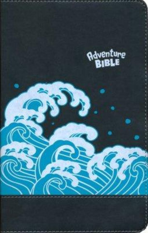 NIV Adventure Bible, (Full Color)-Gray Leathersoft