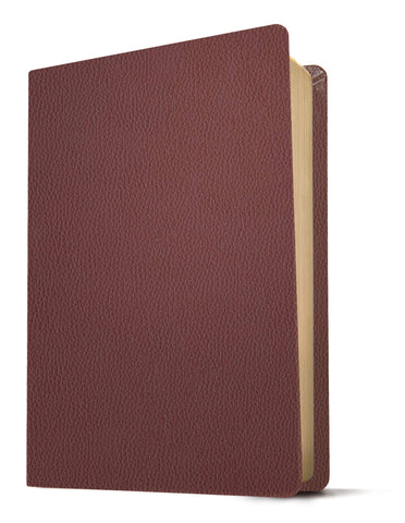 KJV Giant-Print Personal-Size Bible, Filament Enabled Edition--genuine leather, burgundy