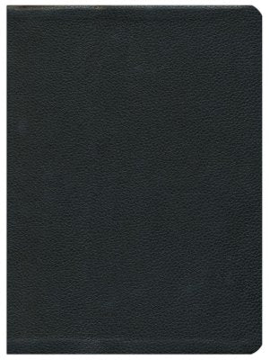 The Message/Large Print Bible-Premium Black Genuine Leather