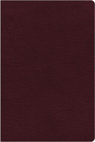 NIV Giant Print Reference Bible (Comfort Print)-Burgundy Bonded Leather Indexed