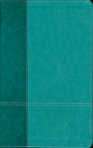 NIV Personal Size Reference Bible, Large Print, Imitation Leather, Blue