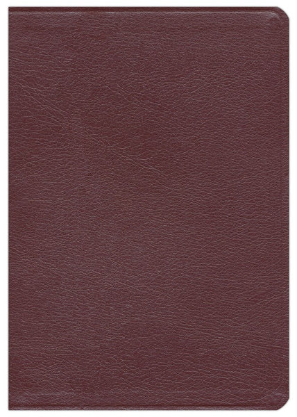 NASB Ryrie Study Bible-Burgundy Bonded Leather Indexed