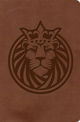 KJV Brown Lion Kids Bible LeatherTouch