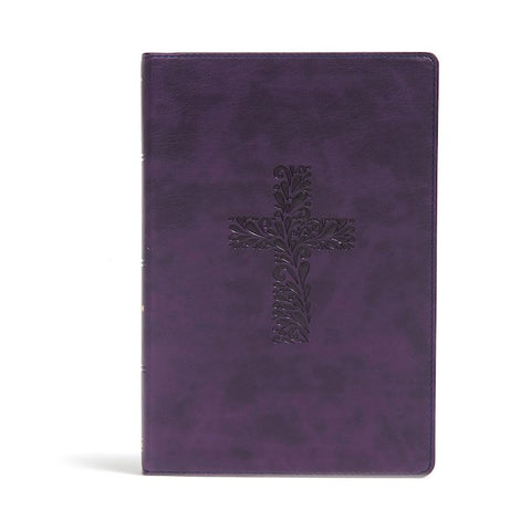 KJV Rainbow Study Bible (Full-Color)-Purple LeatherTouch