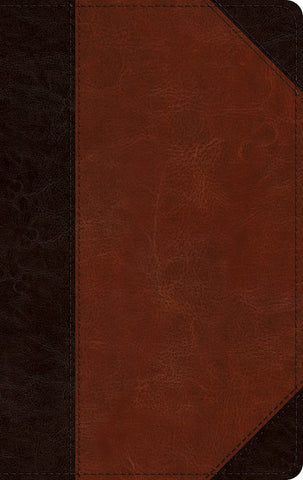 ESV Single Column Thinline Bible-Brown/Cordovan Portfolio Design TruTone, Limited Quantities  Available
