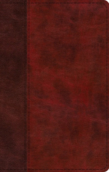 ESV Large Print Thinline Bible-Burgundy Red Timeless Design