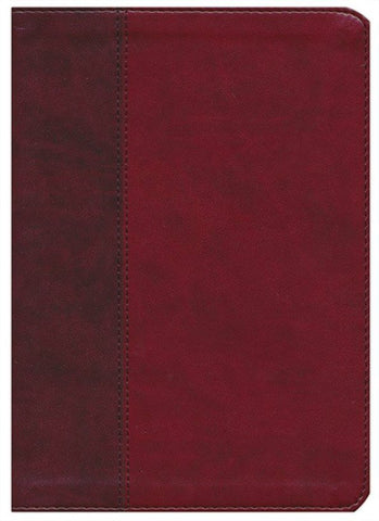 ESV Single Column Journaling Bible/Large Print-Burgundy/Red Timeless Design-TruTone