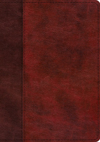 ESV Study Bible-Burgundy/Red, Timeless Design TruTone