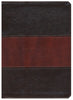 KJV Study Bible (Full-Color)-Saddle Brown LeatherTouch