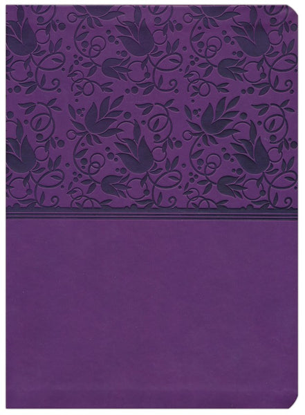 NIV Holman Rainbow Study Bible-Purple Leathertouch Indexed
