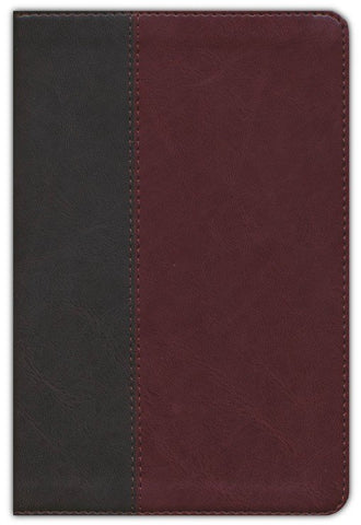 NLT Life Application Study Bible/Personal Size (Third Edition)-Brown/Tan LeatherLike Indexed