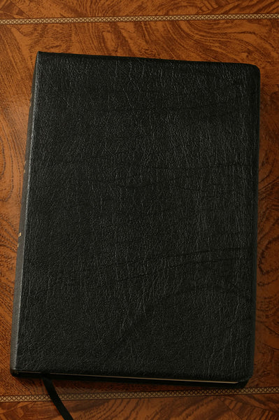 NIV Giant Print Thinline Leather Bible-Black