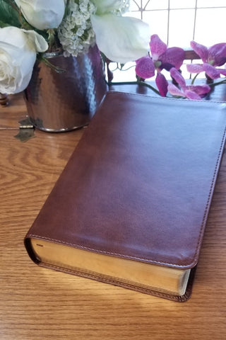 ESV Story of Redemption Study Bible -Brown - Limited Quantities Available
