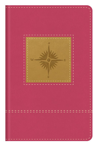 KJV Go-Anywhere Study Bible-Primrose Pink Compass Indexed WAS 32.99 NOW